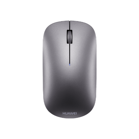 mouse grey 1